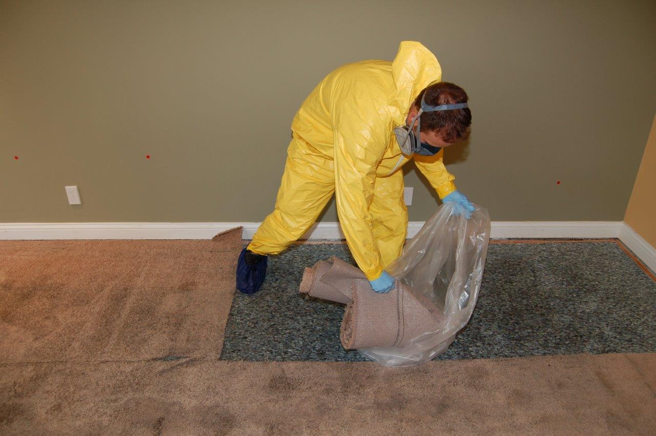 Sewage Cleanup in Riverview, Michigan (779)