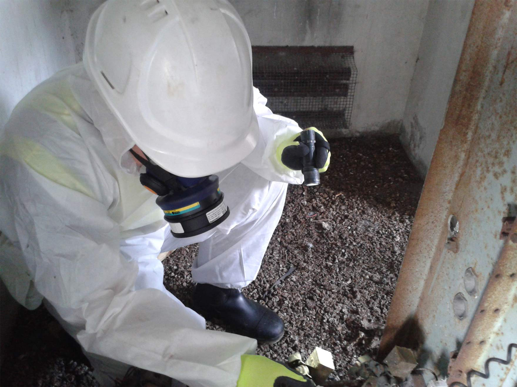 Asbestos Cleanup in Wyandotte, Michigan (2764)
