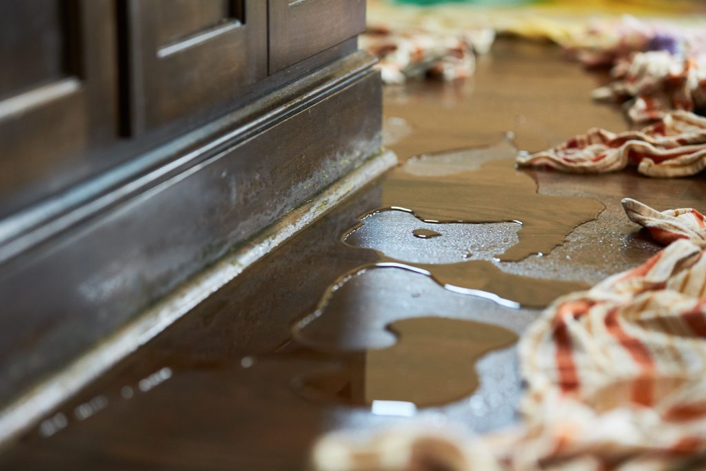 Water Damage Cleanup in Grosse Ile, Michigan (7058)