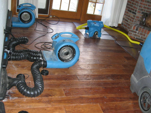 Water Damage Restoration in Southgate, Michigan (8160)