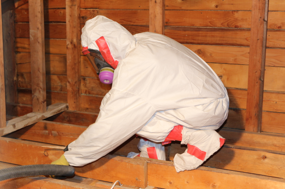Asbestos Cleanup in Whitmore Lake, Michigan (6747)