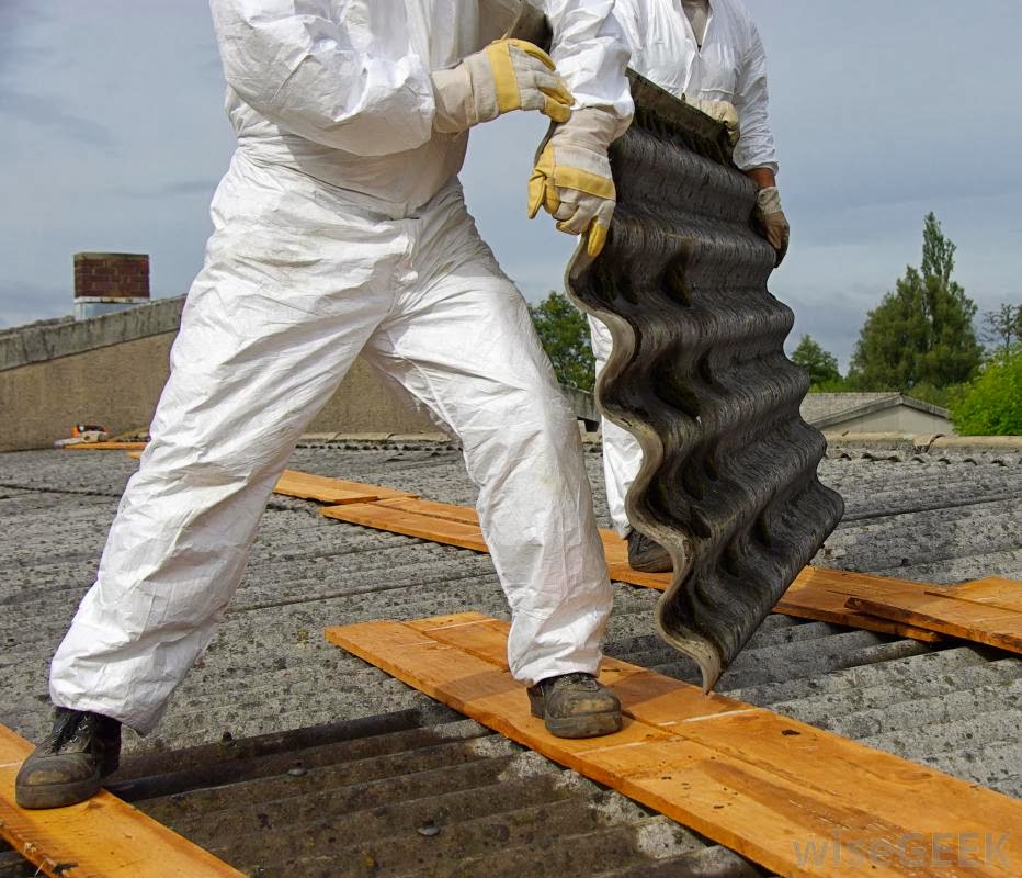 Asbestos Cleanup in Ypsilanti, Michigan (1779)