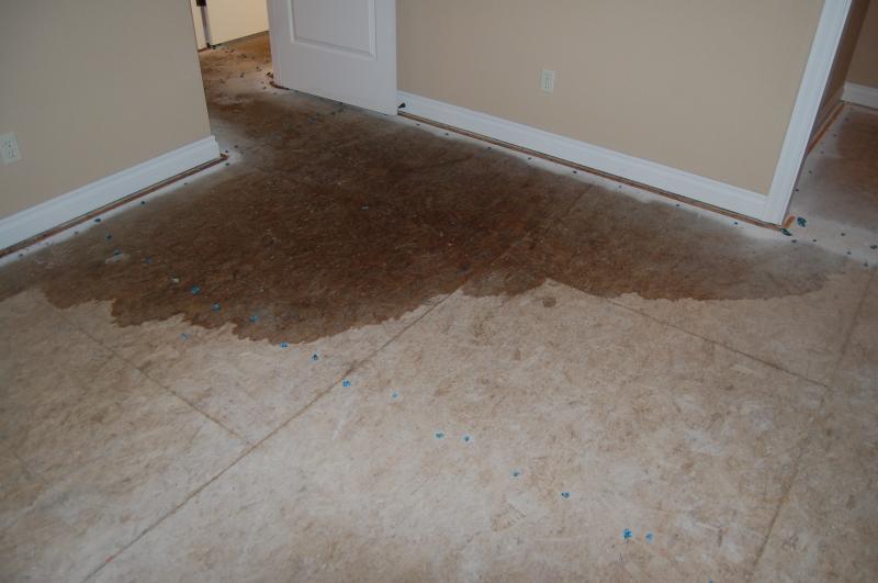 Water Damage Restoration in Southgate, Michigan (1175)